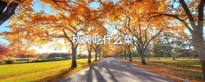 ​秋天吃什么菜最好养生 秋冬季节吃什么菜对身体好