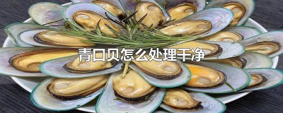 ​青口贝的做法要怎么处理 青口贝咋处理