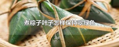 ​如何保持粽子煮熟后叶子青绿 粽叶怎么煮能保持绿色