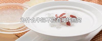 ​燕窝可以用牛奶炖吗? 炖燕窝可以直接用牛奶吗