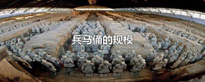 ​兵马俑的整体规模 兵马俑的布局和分类