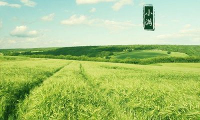 ​小满节气的由来