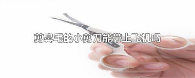 ​剪鼻毛小剪刀可以带上飞机吗 鼻毛修剪器可以带上飞机吗