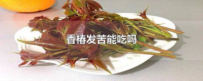 ​香椿发苦能吃吗? 香椿发苦能吃吗有毒吗