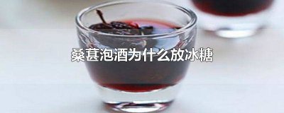 ​桑葚泡酒可以加冰糖吗百度百科 桑葚泡酒可以加冰糖吗百度