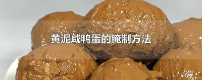 ​用黄泥制作咸鸭蛋的方法 咸鸭蛋用黄泥的腌制方法