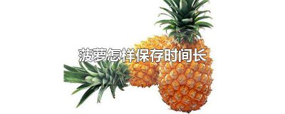 ​菠萝怎么保存时间最长 菠萝可以保存多长时间