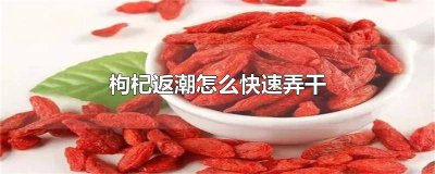 ​枸杞有点潮了怎么弄干 枸杞返潮怎么弄干