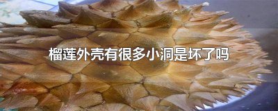 ​榴莲外壳有很多小洞是坏了吗图片 榴莲外壳有很多小洞是坏了吗还能吃吗