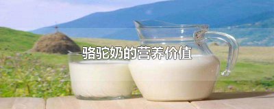 ​骆驼奶的功效与作用 骆驼奶有什么作用和功效