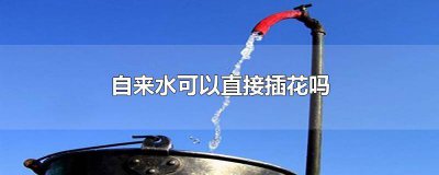 ​纯净水可以插鲜花吗 插花用纯净水还是自来水