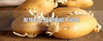 ​发芽的土豆到底能不能吃呀 发芽的土豆到底能吃吗?