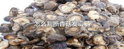 ​怎么判断干香菇发霉 如何判断干香菇是否发霉