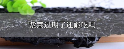 ​紫菜过期还能吃么有毒吗 紫菜过期还能吃么为什么