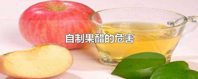 ​自制果醋的做法大全视频 自制果醋的做法大全图解