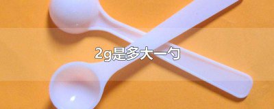 ​15g是几勺 30g是几勺