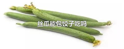 ​丝瓜肉包饺子好吃吗 丝瓜包饺子可以吗