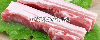 ​五花肉煮多久能熟还不烂 五花肉煮多久能熟啊