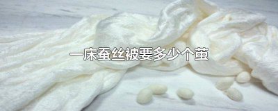 ​多少颗蚕茧可以做一床蚕丝被 多少个蚕茧可以做一床蚕丝被