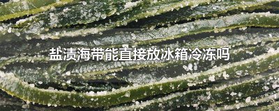 ​新鲜的盐渍海带能放多久 盐渍海带放冰箱最多保鲜多久
