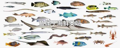 ​巴沙鱼属于海鲜类吗 清江鱼属于海鲜类吗