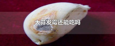 ​大蒜发霉可以吃吗 大蒜发霉了还能不能吃