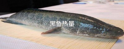 ​黑鱼热量高吗 黑鱼热量高吗 减肥的人能吃吗