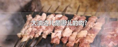 ​板油边是哪里的肉 边油和肉油有什么区别
