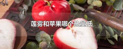 ​雪莲果热量低为什么不能减肥 雪莲果的热量高吗适合减肥人士吃吗