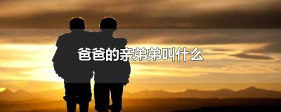 ​自己爸爸的亲弟弟叫什么 把爸爸的亲弟弟叫什么
