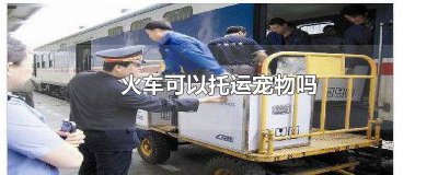 ​火车可以托运宠物吗现在有疫情吗 火车可以托运宠物吗现在有疫苗吗
