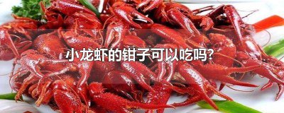 ​小龙虾的钳子可以吃吗? 小龙虾的钳子可以吃吗?能不能吃