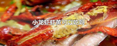 ​小龙虾虾黄可以吃吗有毒吗 小龙虾虾黄可以吃吗图片