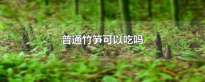 ​竹笋可以直接吃吗 普通竹笋能吃吗