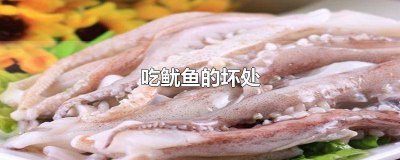 ​吃鱿鱼的好处与坏处 吃鱿鱼的危害