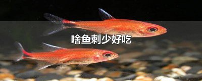 ​哪种鱼好吃刺少 哪种鱼刺少好吃