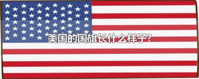 ​现在美国的国旗是什么样子的 美国的国旗是长啥样的