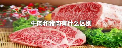 ​猪肉跟牛肉区别 猪肉与牛肉区别