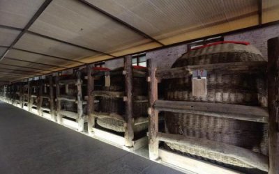 ​西凤酒河南办事处有限公司(西凤酒厂招区域经理)