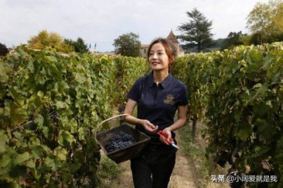 ​葡萄酒明星庄园(著名葡萄酒酒庄)