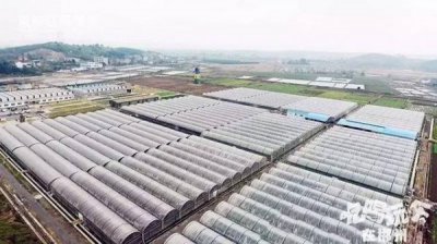 ​38度山庄永兴(山庄38度1703多少钱)