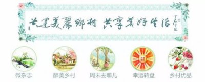 ​喝什么酒对肾有好处(喝什么酒对肾伤害最小)
