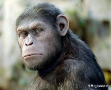 ​地球上第一个人类是怎么来的（人类最开始怎么繁殖出来的）