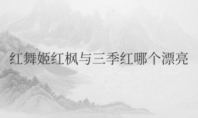 ​红舞姬红枫与三季红哪个漂亮