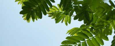 ​夏至天气会暖和吗