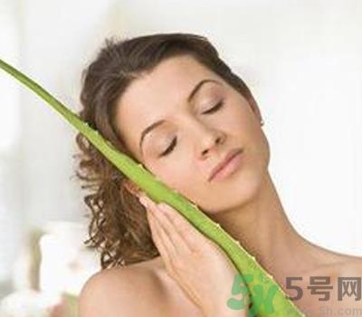 芦荟胶会堵塞毛孔吗？芦荟胶应该怎么用？