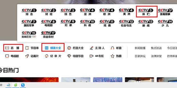 配图