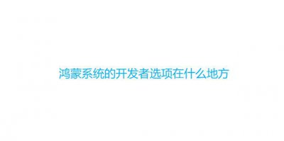 ​鸿蒙系统的开发者选项在什么地方