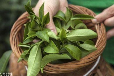 ​用茶叶泡脚有什么好处 小茶叶大用处