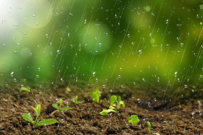 ​雨水节气一定会下雨吗 雨水节气有什么说法
